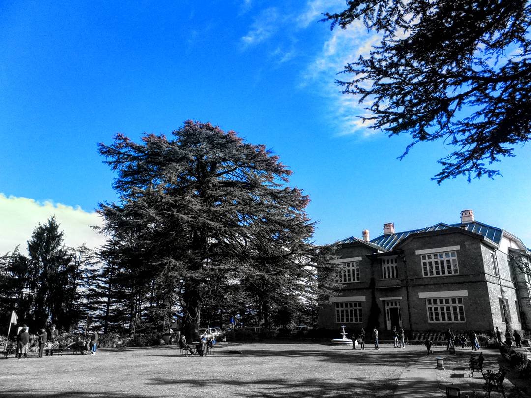 Chayal Palace on the mountain top