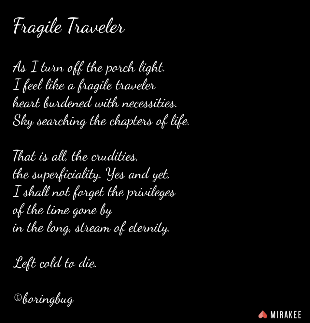 Fragile Traveler
